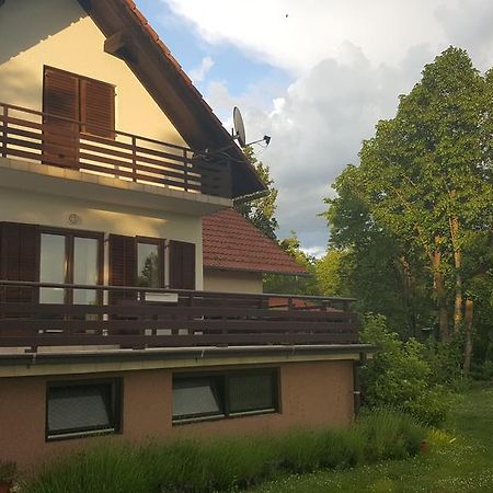 Apartamento House Tudic Drežnik Grad Exterior foto
