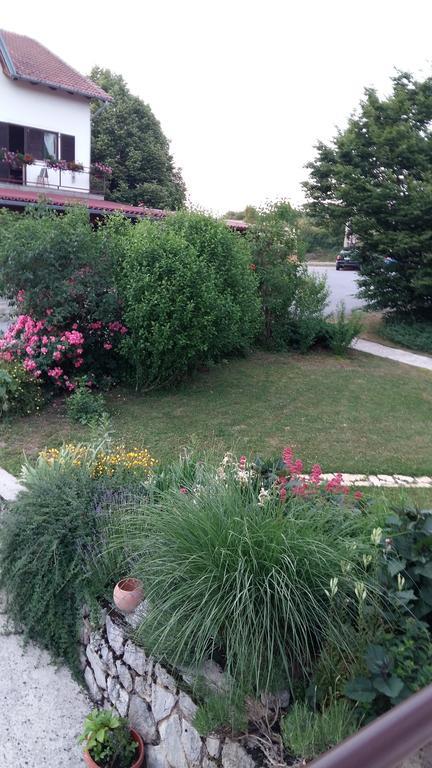 Apartamento House Tudic Drežnik Grad Habitación foto
