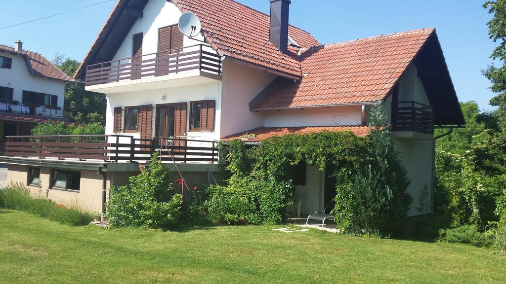Apartamento House Tudic Drežnik Grad Habitación foto