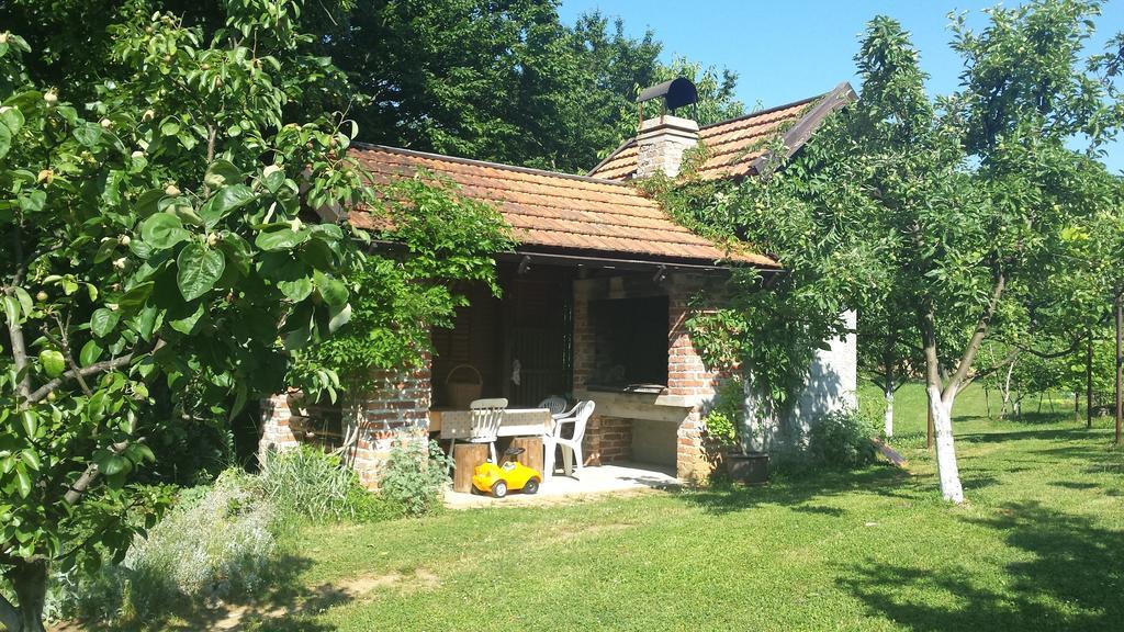Apartamento House Tudic Drežnik Grad Habitación foto