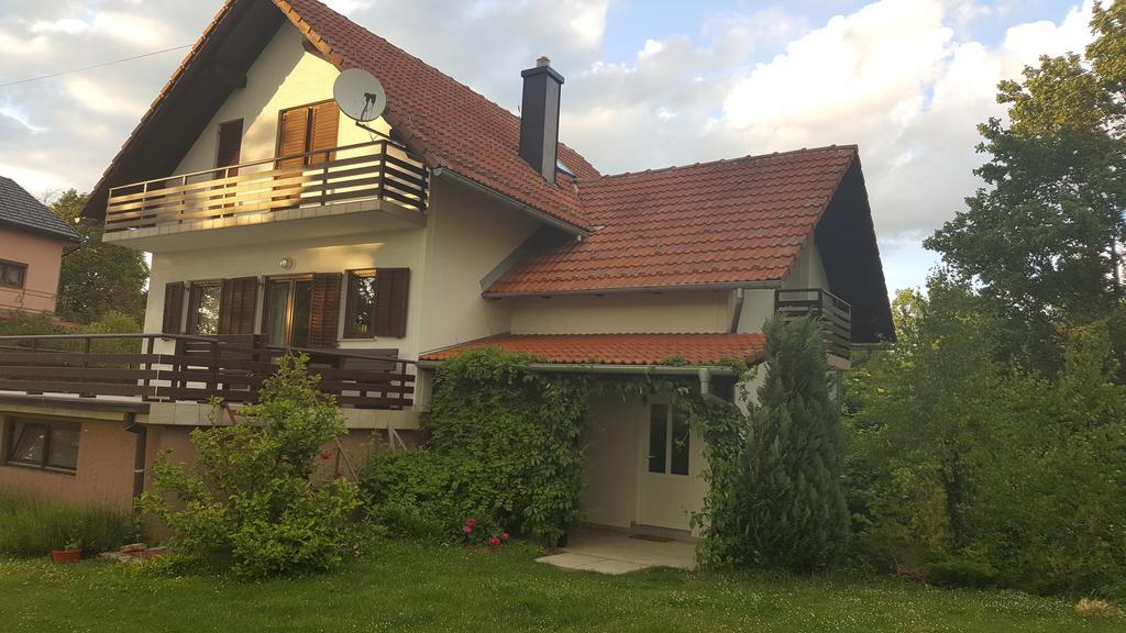 Apartamento House Tudic Drežnik Grad Exterior foto