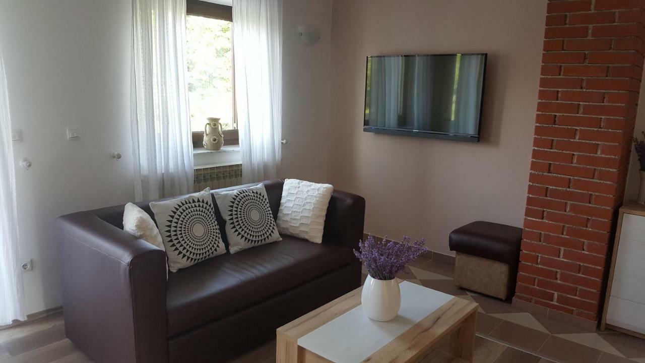 Apartamento House Tudic Drežnik Grad Exterior foto